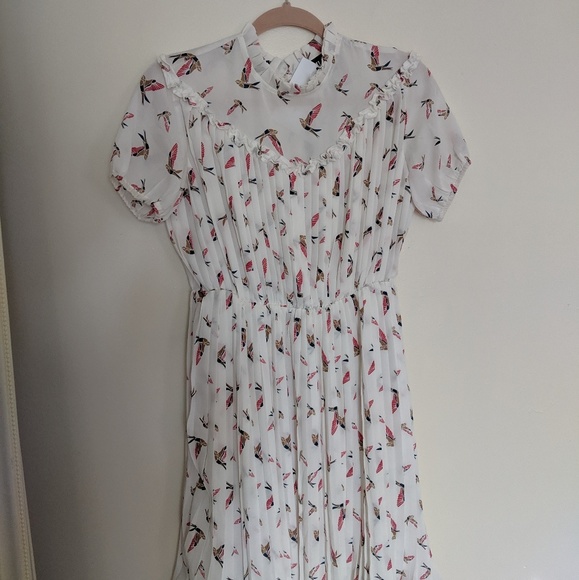 Bird Print Dress - Picture 7 of 7